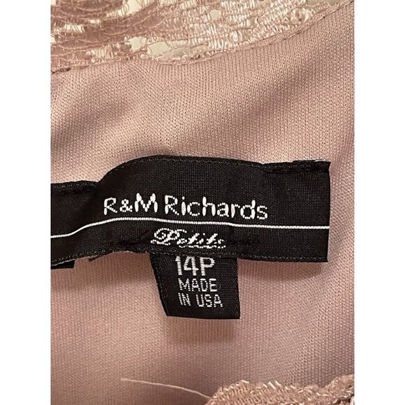 R&M Richards Petite 14P‎ Lace Sequin Dress - Taupe Sleeveless Made In USA - Picture 2 of 16